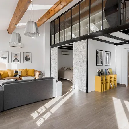Loft Meynadier By Halldis 戛纳