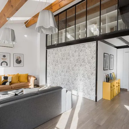 Loft Meynadier By Halldis * 戛纳