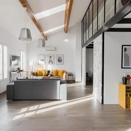Loft Meynadier By Halldis Apartmán Cannes